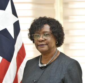 Deputy Minister of Foreign Affairs