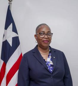 Deputy Minister of Foreign Affairs