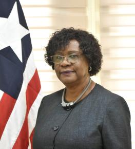 Deputy Minister of Foreign Affairs